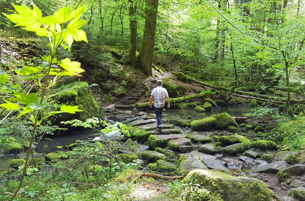 Wandertipps  im Schwarzwald: Ins wildromantische Monbachtal