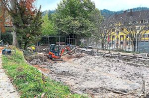Die Arbeiten zur Sanierung des Teichs im Park der Zeiten sind in vollem Gange. Foto: Reuter