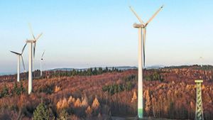 Startschuss für Windpark Schnürbuck bei Ettenheim ist gefallen