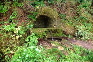 Wolfsbrunnen bei Hausen:   Symbol für den Wald als größter Wasserspeicher.   Foto: Rapthel-Kieser Foto: Schwarzwälder Bote