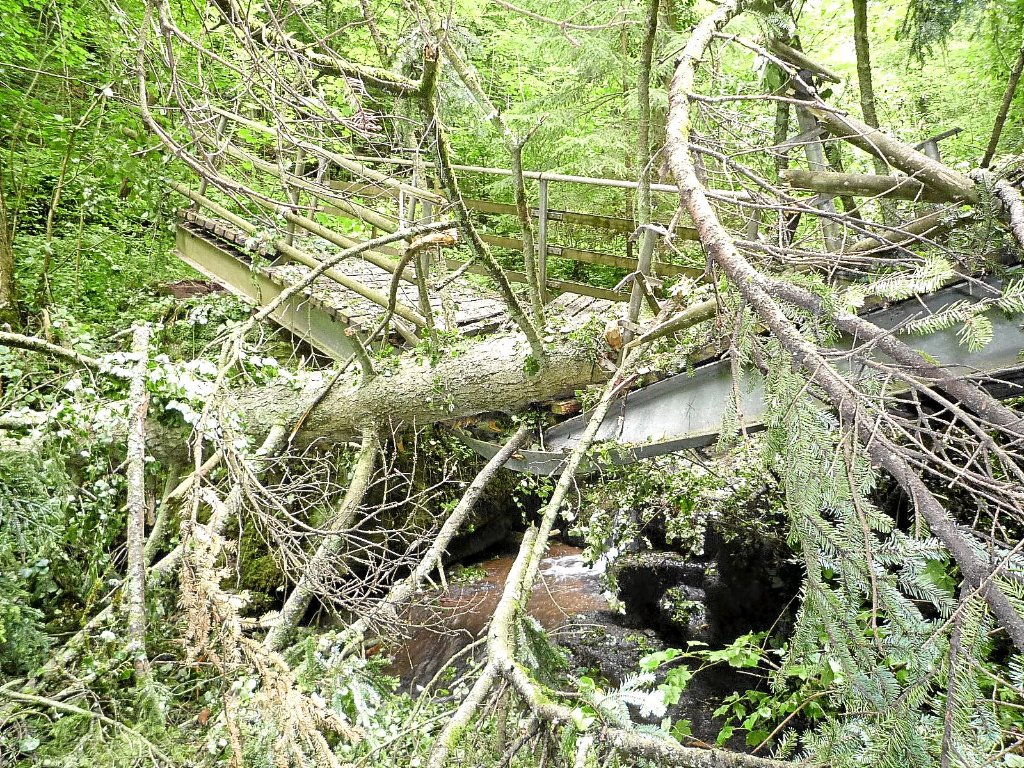 Mit voller Wucht ist ein Baum auf die Schlittenbachbrücke gekracht.