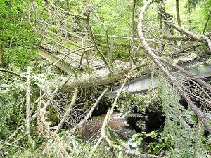 Mit voller Wucht ist ein Baum auf die Schlittenbachbrücke gekracht.  Foto: Roller