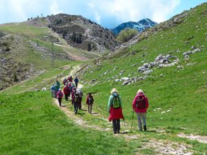 Gruppe des Schwarzwaldvereins wandert auf dem Monte Baldo. Foto: Schwarzwaldverein Foto: Schwarzwälder Bote