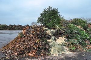 Die Christbäume können auf der Kompostieranlage entsorgt werden. Foto: Köhler