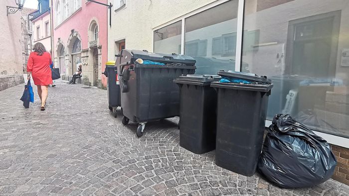 Private Abfallbehälter sollen aus der Innenstadt verschwinden