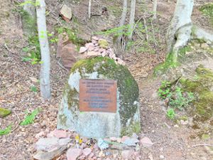 Ein Gedenkstein im Friesenheimer Wald erinnert an den Flugzeugabsturz. Foto: Bohnert-Seidel