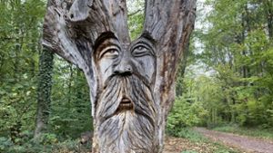 Verein „Unser Wald“ in Friesenheim will wachsen