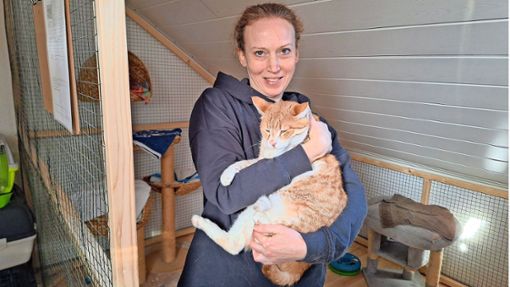 Sonja Fronmaier vom Tierschutz Calw hält Lumpi im Arm. Kurz nach dem Termin mit unserer Redaktion hat der 15 Jahre alte Kater ein neues Zuhause gefunden. Foto: Pauline Szyltowski