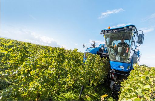 Bis zur Ernte der Weinreben muss häufig gespritzt werden – die EU will die Menge an Pestiziden nun deutlich verringern. Foto: dpa/Philipp von Ditfurth