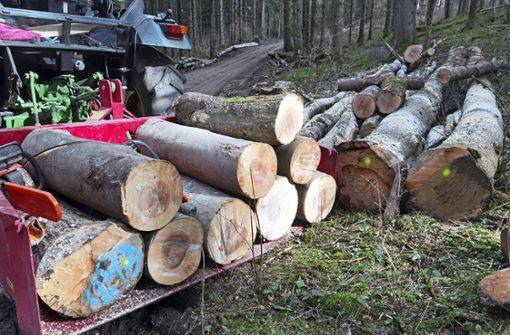 Knapp 6000 Festmeter Holz wurden im vergangenen Jahr im Loßburger Gemeindewald eingeschlagen. Foto: Ade