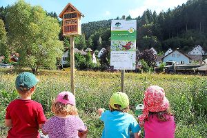 Das Projekt Blühender Naturpark hat gerade unter Kindern viele Fans. Denn Blumenwiesen sind nicht nur schön, sondern dank vieler Lebewesen auch spannend.   Foto: Denker/Naturpark