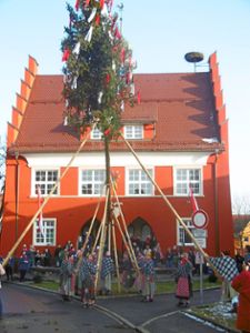 Die Siebenplätzhexen strengten sich an und stellten den Narrenbaum vor dem Roten Rathaus Foto: Wild Foto: Schwarzwälder Bote