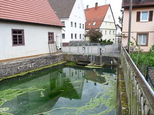 Der Bereich Feuersee spielt beim Hochwasserschutz in der Gemeinde Gechingen eine wichtige Rolle.  Foto: Selter-Gehring Foto: Schwarzwälder Bote