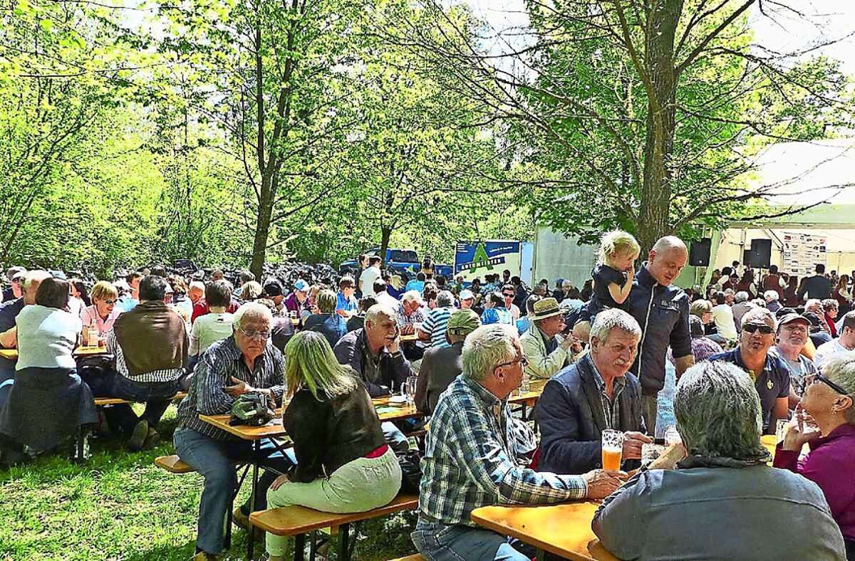 Das Rheinfest des Ichenheimer Musikvereins fand bislang immer im Wald am Rhein statt. In diesem Jahr zieht der Verein um. Foto: Fink/Archivbild