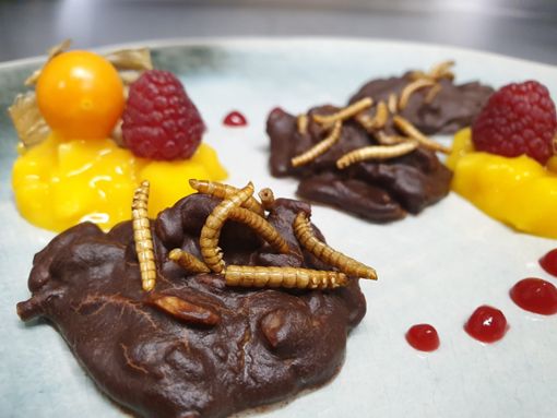 Schokoladenhäufchen mit Mehlwürmern  Foto: (nk)