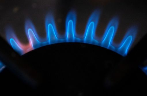 Aufgrund des Ukraine-Krieges wird das Gas knapper. Foto: dpa