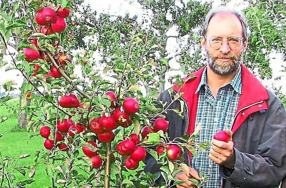 Obsternte Zollernalbkreis: Äpfel und Birnen versprechen guten Ernteertrag