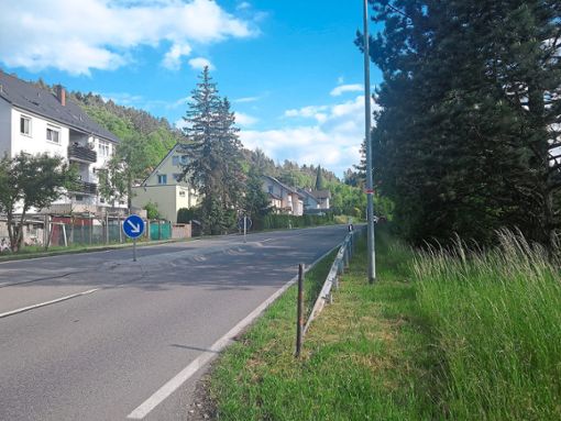 Am Ortseingang Iselshausen aus Richtung Gündringen herrscht eine hohe Lärmbelastung. Foto: Faust