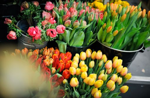 Blumenläden im Südwesten dürfen ab dem 1. März wieder öffnen (Symbolbild). Foto: Lichtgut/Max Kovalenko