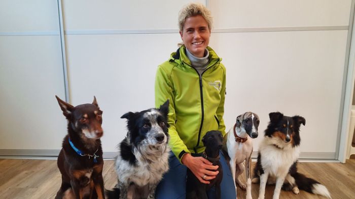 Villingendorfer Hundefachfrau: Warum Therapiebegleithunde hilfreich sein können