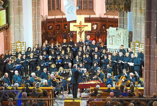 Der Süddeutsche Kantatenchor und das Orchester Collegium Cantabile begeisterten in der Calwer Stadtkirche Foto: Selter-Gehring Foto: Schwarzwälder-Bote
