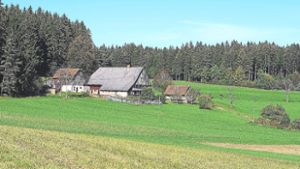 Schwarzwald-Guides gesucht – Kurs beginnt im Herbst