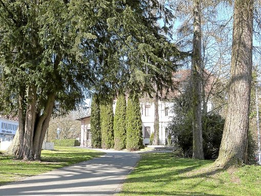 Der Anbau an die Villa Duttenhofer wird nun weniger weit in den Park hineinragen als ursprünglich geplant. Bäume müssen trotzdem fallen. Foto: Otto