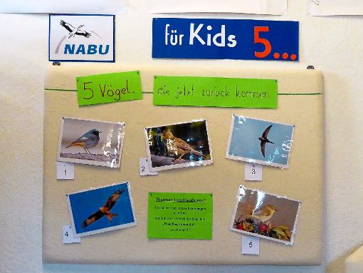 Eine Infotafel zur Aktion NABU für Kids – 5...  steht in der Stadtbücherei. Foto: Fuchs Foto: Schwarzwälder-Bote