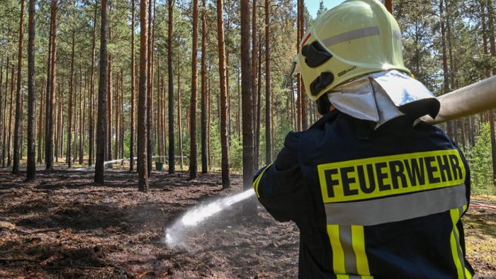 Erhöhte Waldbrandgefahr in Baden-Württemberg