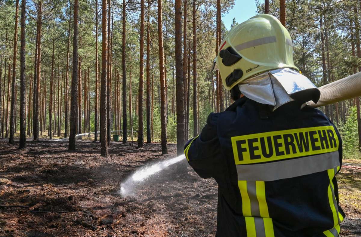 Hitzewelle im Südwesten: Erhöhte Waldbrandgefahr in Baden-Württemberg
