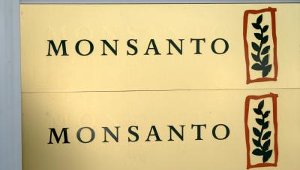 Monsanto will Patent auf Schinken und Schnitzel