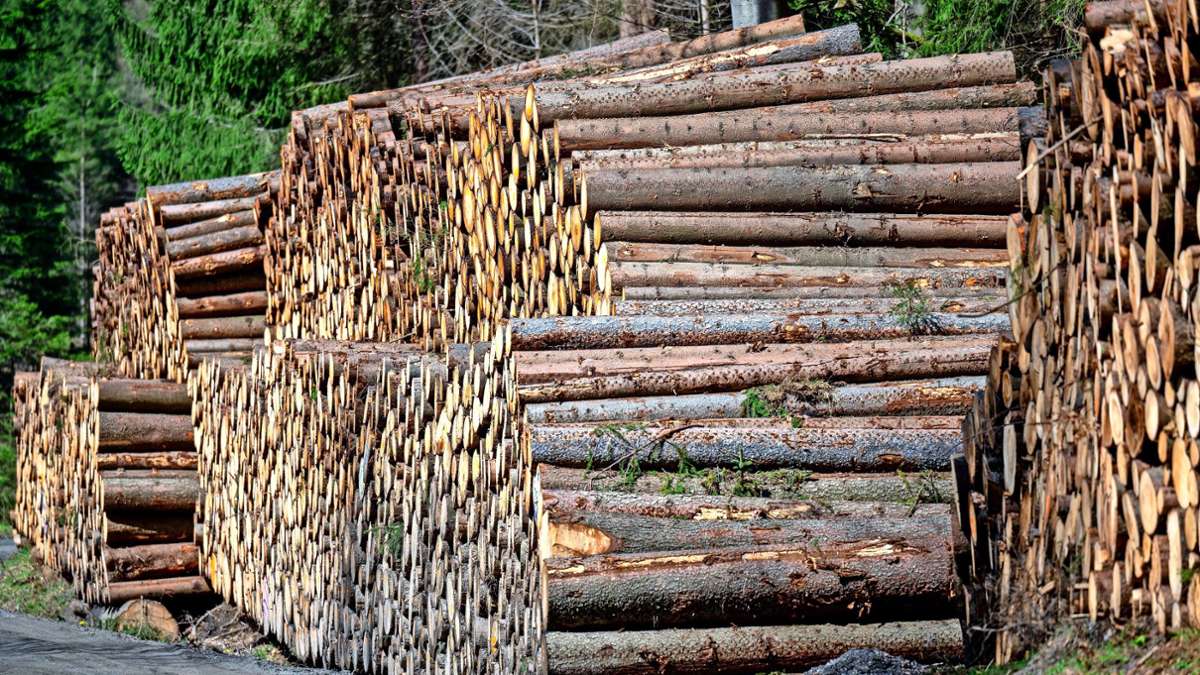 Schömberger Wald: Der Holzverkauf spült Geld in die Stadtkasse