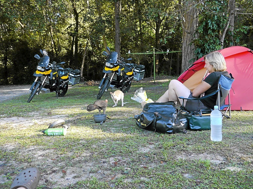 Die australische Tierwelt interessiert sich für die Motorrad-Camper aus Deutschland: Jens und Kati Witte gefällt es in Down Under.  Foto: Witte