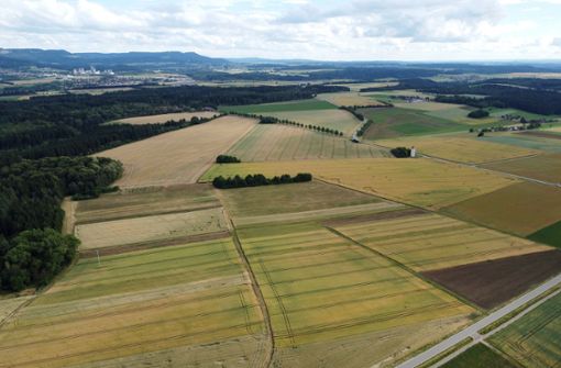 Auf den Feldern um den Waldhof werden bisher Nahrungsmittel angebaut. Foto: Eberhard Mollenkopf