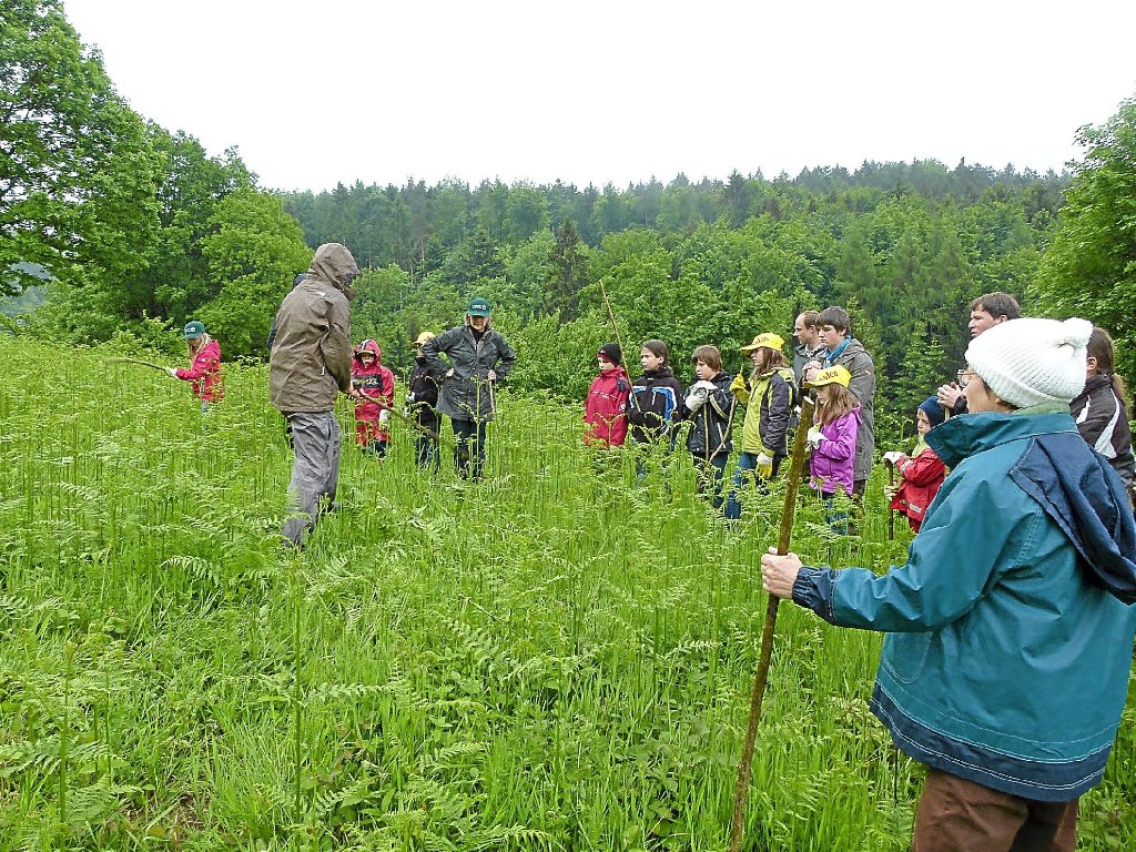 Die teilnehmenden Pfadfinder werden darin eingewiesen, wie sie Wiesenflächen vom Adlerfarn befreien können. Foto: Veranstalter Foto: Schwarzwälder-Bote