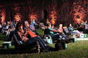 Rund 100 Besucher kamen im vergangenen Sommer in die Wildberger Schlossanlage, um die Show des Helene-Fischer-Doubles Caro zu sehen. Foto: Buchner