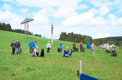 Das erste Platztraining der Ortsgruppe Wälderdogs, Schönwald und Umgebung fand  statt. Foto: Schwarzwälder Bote