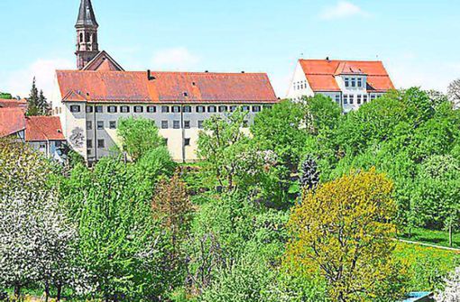 Das Kloster in Binsdorf: Nun gibt es Fördermittel für den Klostergarten. Foto: Moser