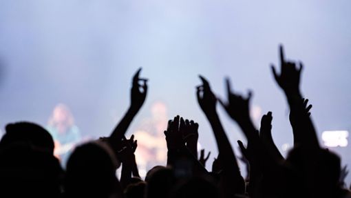 Rechtsrock-Konzerte haben meist ein kleines, verschworenes Publikum. Foto: IMAGO/Fotostand/IMAGO/Fotostand / Voelker