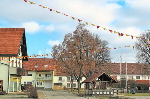 Fasnetsbändel in den Farben der Vetterzunft zieren die Ortsmitte von Harthausen. Foto: Gauggel