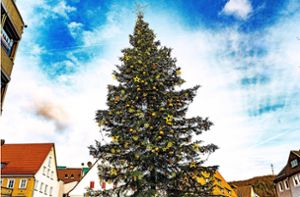 Keine optische Täuschung, Nagolds Weihnachtsbaum weist tatsächlich schräge Tendenzen auf. Foto: Fritsch