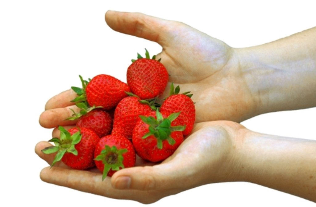 Trotz aller Unterschiede in Geschmack, Farbe und Form, ist allen Sorten eins gemein: Erdbeeren schmecken nach Sonne und guter Laune.