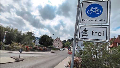 Die ausgewiesene Fahrradstraße birgt für Radler dennoch manche Gefahren. Foto:  