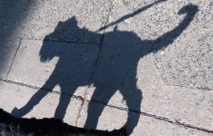 Beim Gassigehen hat sich ein Hund in Schönmünzach losgerissen und ist einer Frau vors Fahrrad gelaufen. (Symbolfoto) Foto: dpa