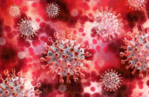 Das Coronavirus sorgt für hohe Infektionszahlen. Foto: Pixabay