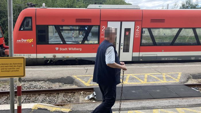 Wird Horb doppelter Verlierer bei Regionalstadtbahn?