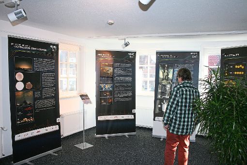 In der Bergvogtei informieren Banner mit Bildern und Text über das Thema der Ausstellung. Foto: Stadtverwaltung Neubulach Foto: Schwarzwälder-Bote