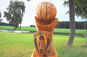 Das Sportgelände des VfB Bösingen ist bereit für das Sportwochenende. Foto: Hölsch