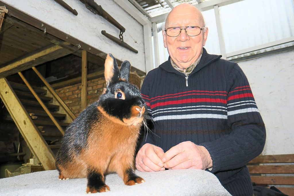 Wilhelm Heizmann aus Heiligenzell ist Badischer Meister in der Kaninchenzucht. Ans Aufhören denkt der 80-Jährige noch lange nicht.