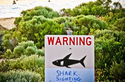 Ein Schild mit der Aufschrift „Warning shark sighting“ (Achtung Hai gesichtet) ist in der Nähe des   Prevelly Beach in Australien aufgestellt. Foto: Rebecca Le May/AAP/dpa